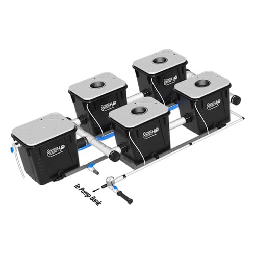 8-gallon RDWC system from Current Culture